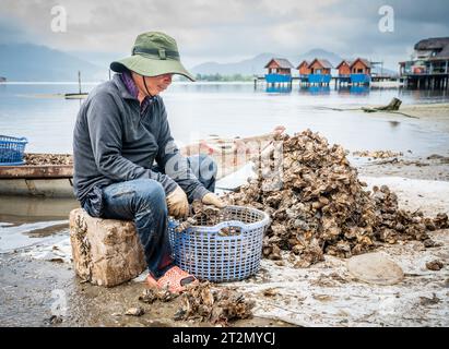 Vietnam centrale, 19 novembre 2022: Fisherman sta smistando la cattura mattutina di vongole sulla riva della laguna Tam Giang-Cau hai nel Vietnam centrale Foto Stock