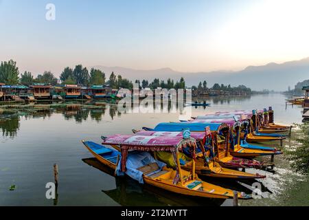 Splendida vista delle colorate barche shikara galleggianti sul lago dal, Srinagar, Kashmir, India. La bellezza del lago dal e delle splendide Shikaras Foto Stock