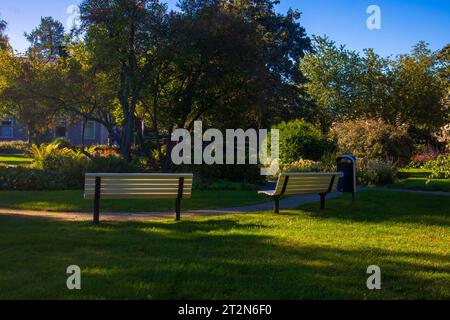 Tranquillo parco in città Foto Stock
