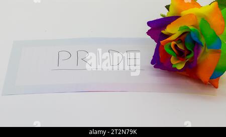 Pride scritto a mano su nota con una rosa arcobaleno su sfondo bianco Foto Stock