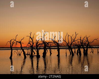 Tramonto in un lago con gli alberi Foto Stock