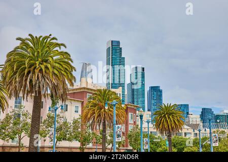 Palme con lampioni azzurri davanti all'alloggiamento con grattacieli che si innalzano sullo sfondo Foto Stock