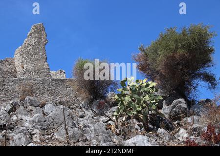 Uno scorcio delle rovine del Mausoleo di Tredoliche. Paesaggio dalle rovine di Cirella, villaggio abbandonato per un secolo nella regione Calabria. Foto Stock
