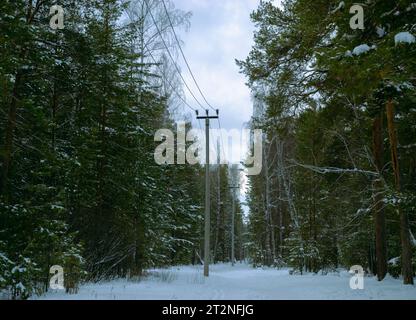Linee elettriche nel mezzo della foresta invernale Foto Stock