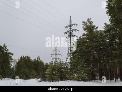 Linee elettriche nel mezzo della foresta invernale Foto Stock