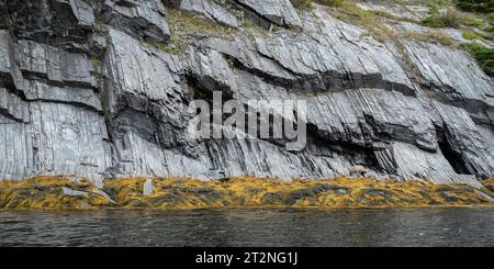 Formazioni rocciose a Norris Point, Gros Morne NP a Terranova Foto Stock