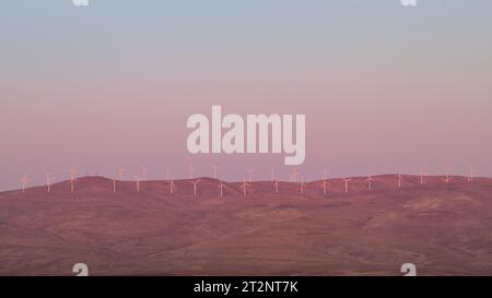 Vento turbine sulla collina nella luce rosa dell'alba Foto Stock