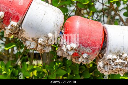 sezione di galleggianti galleggianti in plastica con barnacli Foto Stock