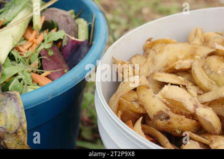 Secchi con rifiuti organici, raccolta selettiva di residui vegetali per il compostaggio e la produzione di fertilizzanti. Foto Stock