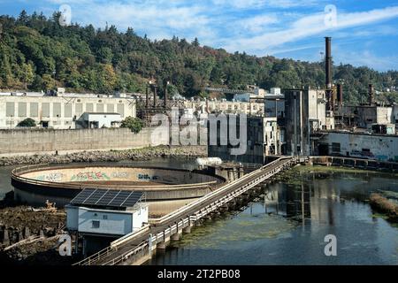 Willamette Falls Foto Stock