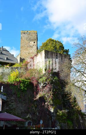 Colpo di Burg Runkel Foto Stock