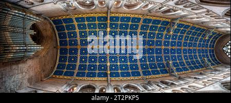 Soffitto stellato all'interno della cattedrale di Carlisle, Carlisle, Cumbria, Regno Unito Foto Stock