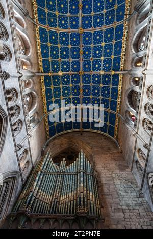 Soffitto stellato e organo all'interno della cattedrale di Carlisle, Carlisle, Cumbria, Regno Unito Foto Stock