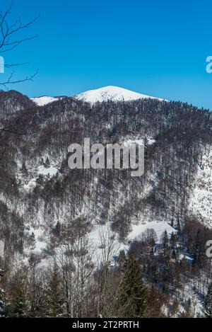 Collina di Rakytov dal sentiero escursionistico tra Vysna Revuca e sedlo Ploskej in inverno, le montagne Velka Fatra in Slovacchia Foto Stock