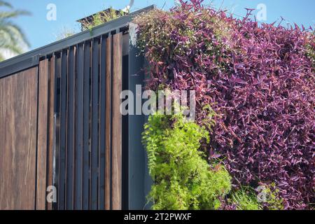 Giardino verticale esterno che ricopre l'angolo in legno e metallo. Concetto di architettura sostenibile Foto Stock