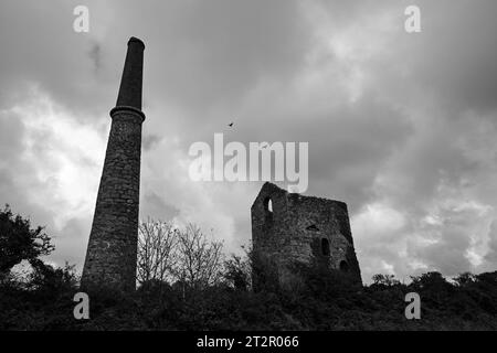 Nancegollan Tin Mine Cornwall Penwith Foto Stock