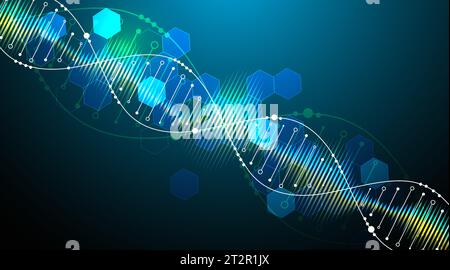 Modello scientifico, sfondo o banner con molecole di DNA. Illustrazione vettoriale. Illustrazione Vettoriale