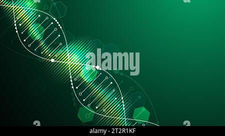 Modello scientifico, sfondo o banner con molecole di DNA. Illustrazione vettoriale. Illustrazione Vettoriale