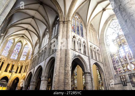 Soffitto a volta interno, vetrate colorate e ambulatorio, Cattedrale di San Gudula, Bruxelles, Belgio Foto Stock
