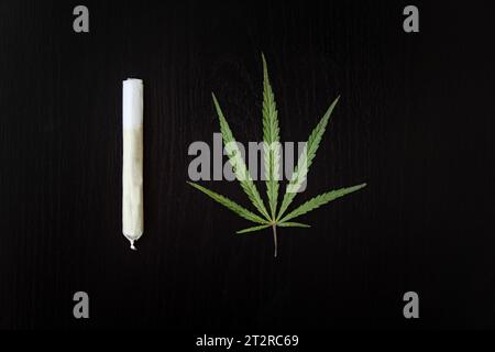 Preparazione del giunto di cannabis con tabacco e carta rotolante con germoglio di marijuana su sfondo nero. L'insinuazione dell'abuso di marijuana. legalizat di cannabis Foto Stock