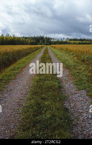 Strada sterrata vuota che attraversa il campo nella campagna finlandese. Foto Stock