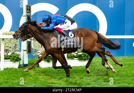 Ascot, Berkshire, Regno Unito; Frankie Dettori e Trawlerman vincono la QIPCO British Champions Long Distance Cup (gruppo 2) per l'allenatore John & Thady Gosden e il proprietario Godolphin. Credito immagini equine JTW / Alamy Foto Stock