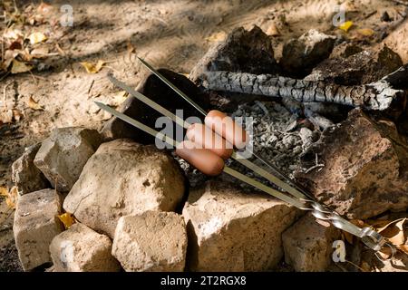 Primo piano di salsicce spiedate su barre di metallo, che arrostiscono delicatamente su un caldo fuoco da campeggio, circondati da aspre rocce e foglie autunnali cadute Foto Stock