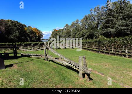 Cantina Harmony Vineyards Head of the Harbor Long Island NY Foto Stock