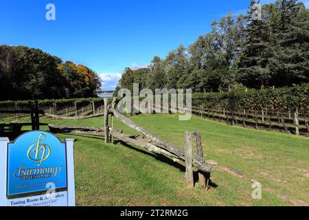 Cantina Harmony Vineyards Head of the Harbor Long Island NY Foto Stock