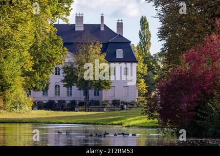 Cottbus, Germania. 21 ottobre 2023. Gli alberi che circondano il castello nel Parco Branitz iniziano lentamente a cambiare i colori autunnali. Il parco è stato creato dal principe Hermann von Pückler a partire dal 1846 ed è un importante parco paesaggistico. Crediti: Frank Hammerschmidt/dpa/Alamy Live News Foto Stock