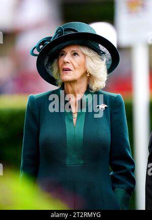 Regina Camilla durante il QIPCO British Champions Day all'ippodromo di Ascot, Berkshire. Data immagine: Sabato 21 ottobre 2023. Foto Stock