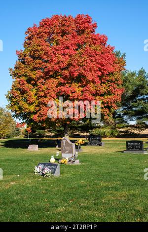 Acero rosso in Foliage autunnale in un cimitero cattolico americano, St. Ann Church, Long Grove, Iowa, USA. Foto Stock