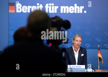 Alternativa per la Germania (Afd), non solo euroscettici - Limes