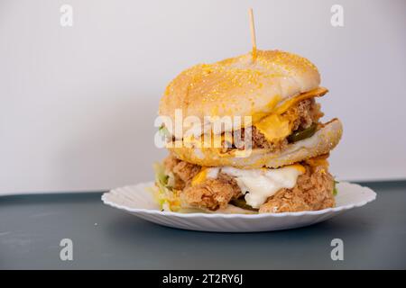 Hamburger di pollo con sottaceti, pane, sesamo e formaggio tutto intorno isolato su sfondo bianco con recipiente Foto Stock