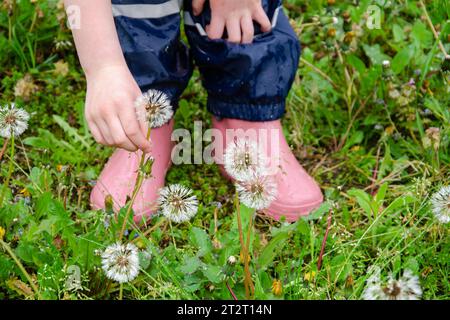 Piedi di un bambino con stivali di gomma rosa tra i leoni maturi. La ragazza indossa stivali in gomma e pantaloni fangosi. Foto Stock