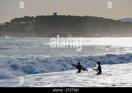 Paesaggio autunnale con due surfisti che camminano nel surf portando tavole da surf retroilluminate con la Penisola Maddalena Sardinero Santander Cantabria Spagna Foto Stock