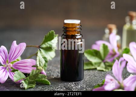 Una bottiglia di olio essenziale di mallow comune con ramoscelli di malva sylvestris in fiore Foto Stock