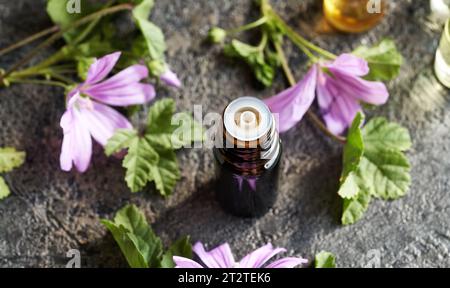 Una bottiglia marrone di olio essenziale con fiori di malva freschi su un tavolo Foto Stock