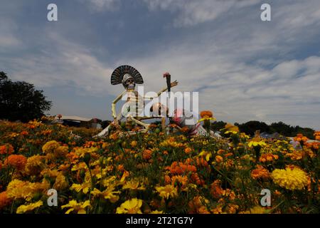 Non esclusiva: 20 ottobre 2023, Stato di Puebla, Messico: Catrinas monumentali con varie rappresentazioni di personaggi adornano campi e luoghi in Th Foto Stock