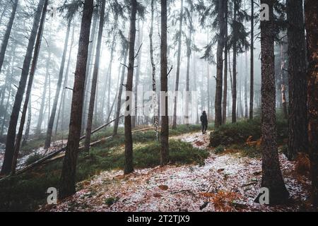 Foresta autunnale con persona in piedi, tiro largo Foto Stock