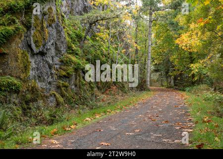 Autunno sul Galloping Goose Regional Trail a Sooke, British Columbia, Canada. Foto Stock