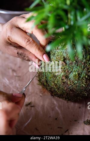 In questa immagine dettagliata, viene catturato il meticoloso processo di creazione di un Kokedama, con mani esperte che tengono un ago e lavorano con precisione a W. Foto Stock