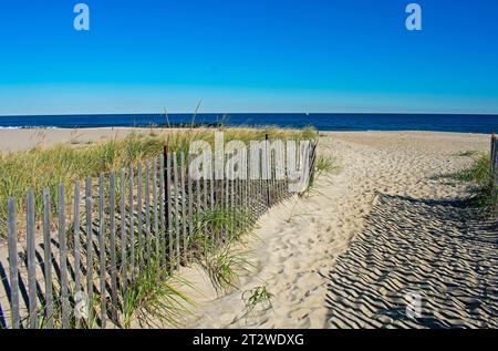 Il sole del tardo pomeriggio proietta intriganti ombre di dighe di recinzione sulla sabbia beige della spiaggia in una giornata limpida -01 Foto Stock