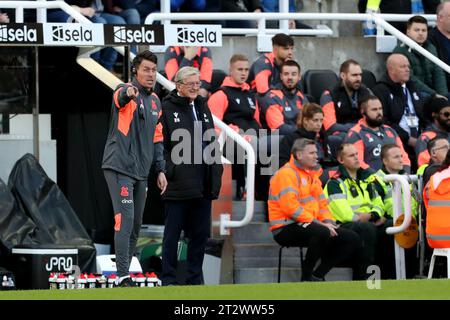 Newcastle sabato 21 ottobre 2023. L'assistente manager di Crystal Palace Paddy McCarthy. Durante la partita di Premier League tra Newcastle United e Crystal Palace a St. James's Park, Newcastle sabato 21 ottobre 2023. (Foto: Mark Fletcher | mi News) crediti: MI News & Sport /Alamy Live News Foto Stock