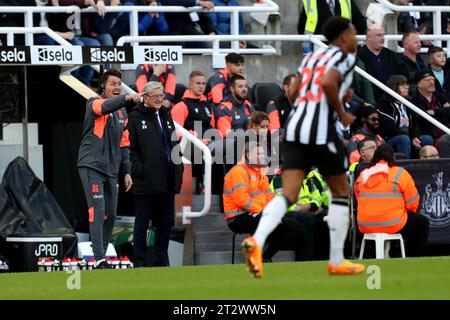 Newcastle sabato 21 ottobre 2023. L'assistente manager di Crystal Palace Paddy McCarthy. Durante la partita di Premier League tra Newcastle United e Crystal Palace a St. James's Park, Newcastle sabato 21 ottobre 2023. (Foto: Mark Fletcher | mi News) crediti: MI News & Sport /Alamy Live News Foto Stock