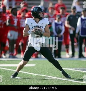 21 ottobre 2023 - il quarterback degli Hawaii Rainbow Warriors Brayden Schager n. 13 passerà durante una partita tra i New Mexico Lobos e gli Hawaii Rainbow Warriors allo University Stadium di Albuquerque, NEW Mexico - Michael Sullivan/CSM Foto Stock