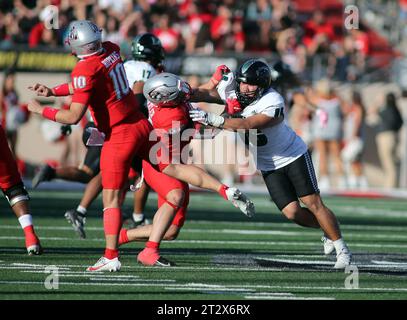 21 ottobre 2023 - il defensive lineman degli Hawaii Rainbow Warriors Andrew Choi n. 96 corse il quarterback durante una partita tra i New Mexico Lobos e gli Hawaii Rainbow Warriors allo University Stadium di Albuquerque, NEW Mexico - Michael Sullivan/CSM Foto Stock