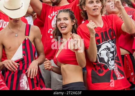 Houston, Texas, Stati Uniti. 21 ottobre 2023. I tifosi degli Houston Cougars ballano durante una partita tra i Texas Longhorns e gli Houston Cougars a Houston, Texas. Trask Smith/CSM/Alamy Live News Foto Stock