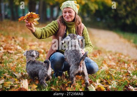 Donna matura che gioca con due piccoli cuccioli di schnauzer in miniatura nel parco autunnale Foto Stock