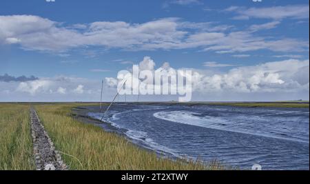 Vista da Tuemlauer Koog sulla penisola di Eiderstedt al faro di Westerhever nel Mare del Nord in Frisia settentrionale, Germania Foto Stock